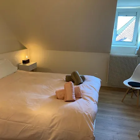 Les Moulins Tres Agreable Et Idealement Situe קולמר